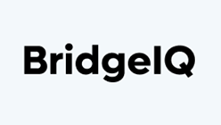 BridgeIQ logo